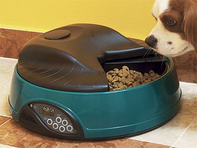 Automatic Pet Feeder