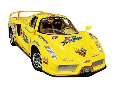 Ferrari 1:6 Scale Remote Controlled Rabid Racing Car