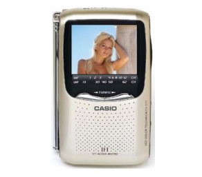 Casio EV-570 2.5" Active Matrix LCD Hand Held Color Personal TV