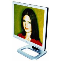 Hewlett-Packard Pavilion 19" Inch Flat-Panel TFT-LCD Monitor