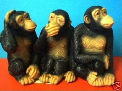 3 CUTE MONKEYS APES CHIMPS WEIRD GAG GIFT