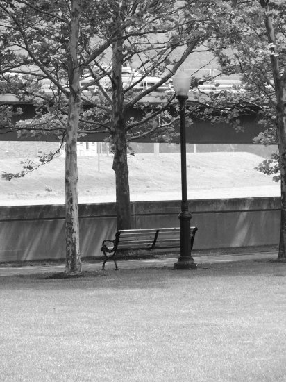 park bench gray scale