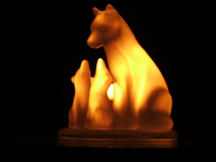glowing wolf