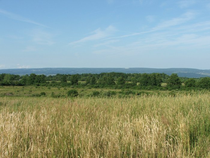 the old land
