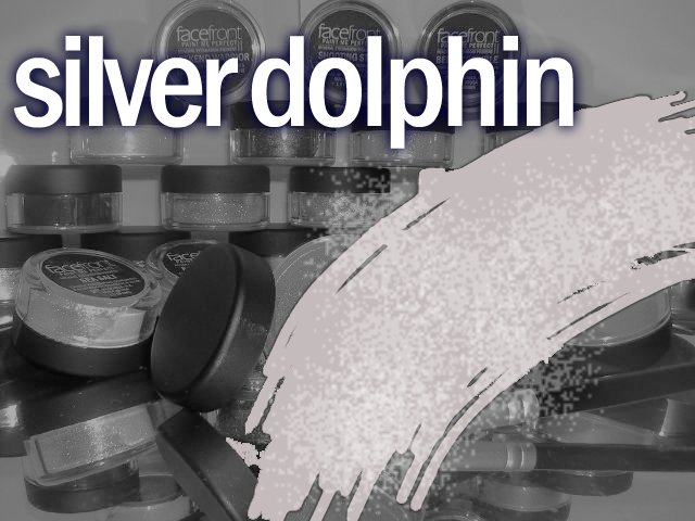 Paint Me Perfect Eye Shadow: Silver Dolphin