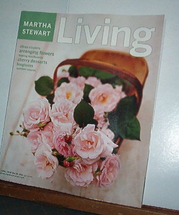 Magazine - Martha Stewart Living - Free Shipping - No. 60 June 1998