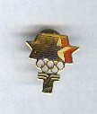 Pin - Collector Pins - Olympic Games 1984 Los Angeles - Unknown Logo