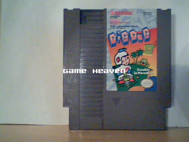 Dig Dug II