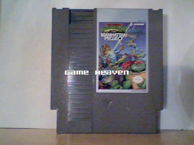 Teenage Mutant Ninja Turtles III: The Manhattan Project