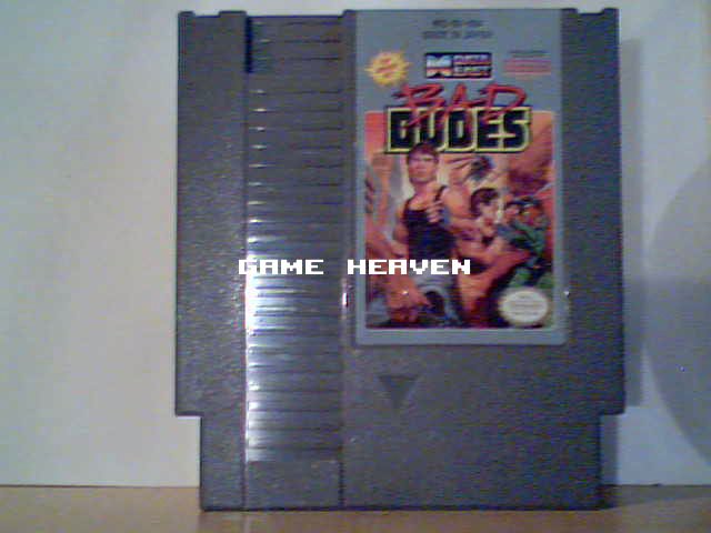 Bad Dudes