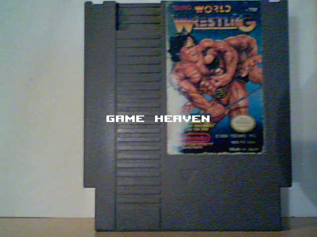 Tecmo World Wrestling