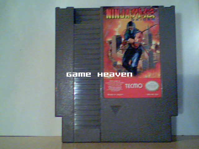 Ninja Gaiden