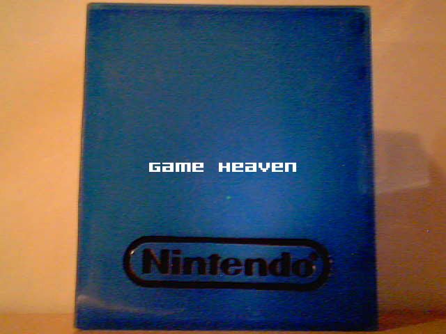 Nintendo Brand Blue Plastic Game Case