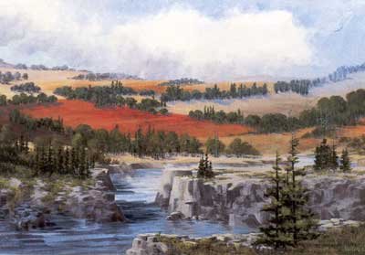 NATURE SCENERY OIL PAINTING ON CANVAS 20"X24"