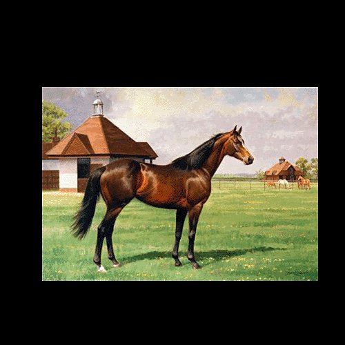 HORSE OIL PAINTING ON CANVAS 20"X24"