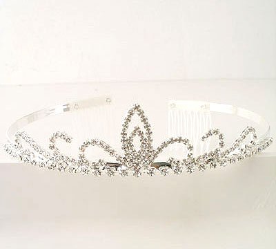 Small Elegant Tiara Reg $49.99