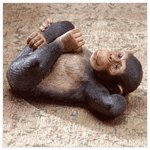 Reclining Monkey