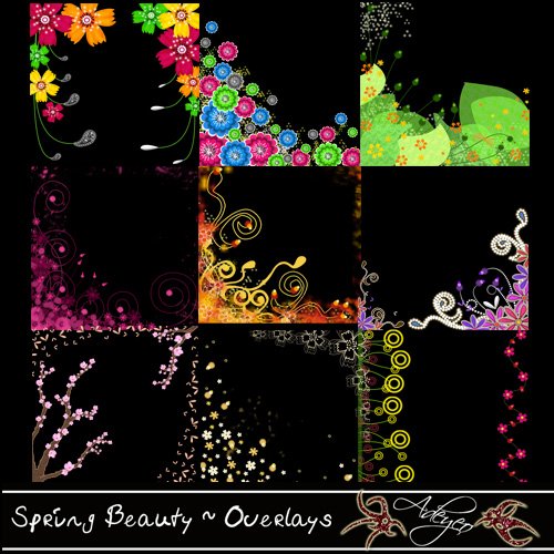 Adeyeo-Spring Beauty Overlays
