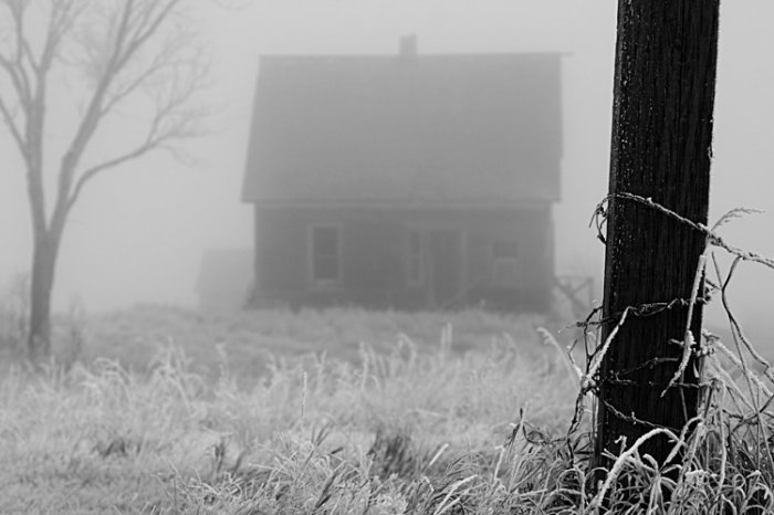 Foggy Morning 8x10 Photo Print (Unframed)