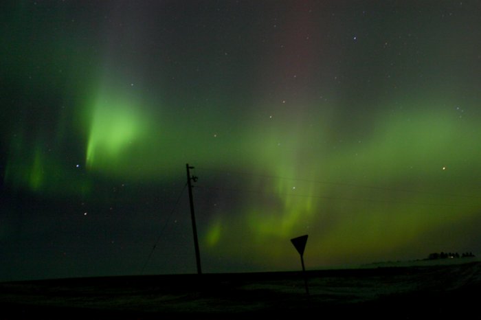 Auroras 8x10 Photo Print (Unframed)