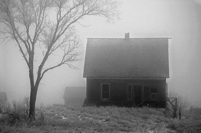 Eerie Fog 8x10 Photo Print (Unframed)