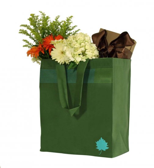 SALE - The Modern Shopper Green Tote