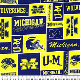 University of Michigan Wolverines 36x60