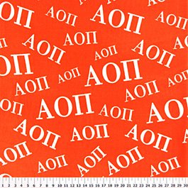 Alpha Omicron Pi Fraternity 72x60