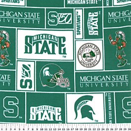 Michigan State University Spartans 36x60