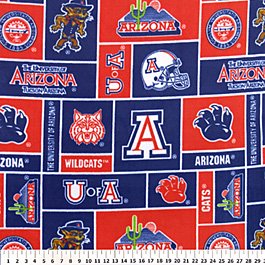 University of Arizona Wildcats 36x60