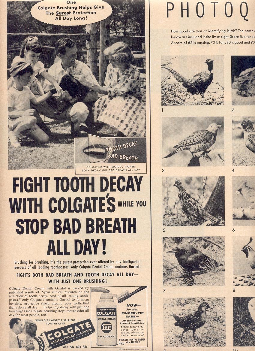 1958 COLGATE DENTAL CREAM MAGAZINE AD (264)
