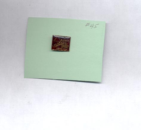 Colorado hat (lapel ) pin (#45)