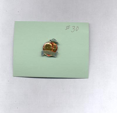 Georgia hat (lapel) pin (#30)