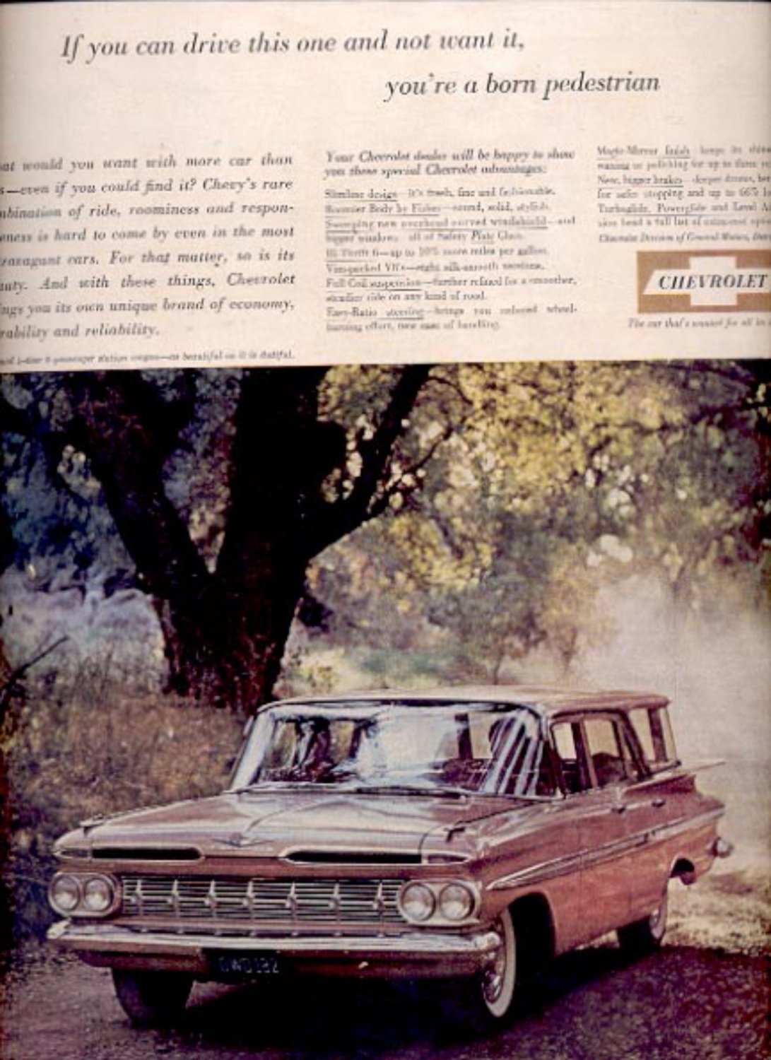1959 Chevrolet station wagon ad (#5555)