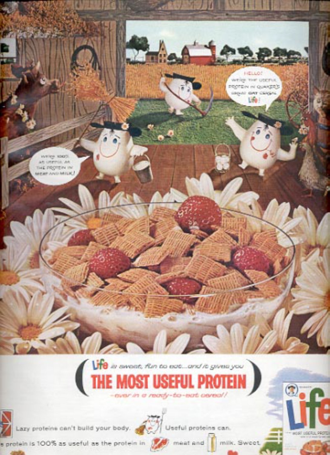 1964 Quaker Life Cereal ad (# 4891)