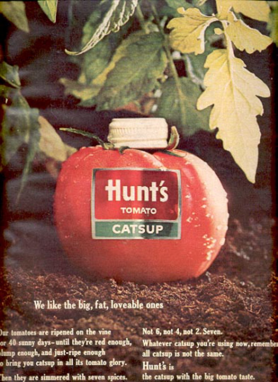 1964 Hunt's Tomato catsup ad (# 4880)