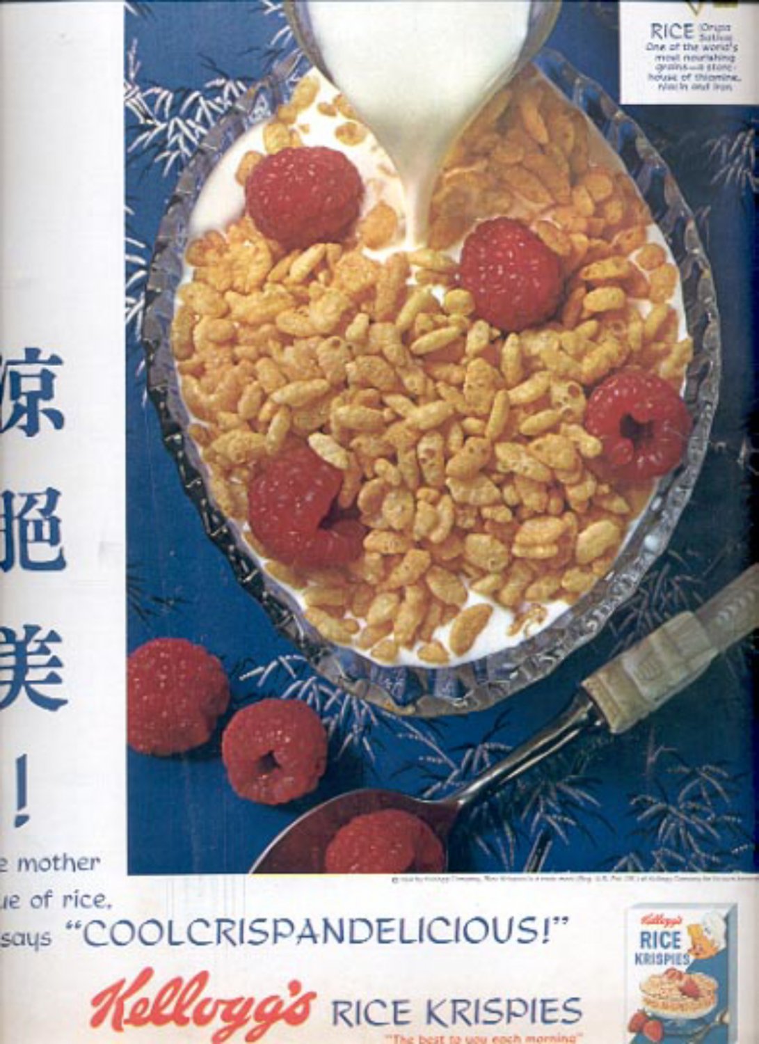 1964 Kellogg's Rice Krispies ad (# 4858)