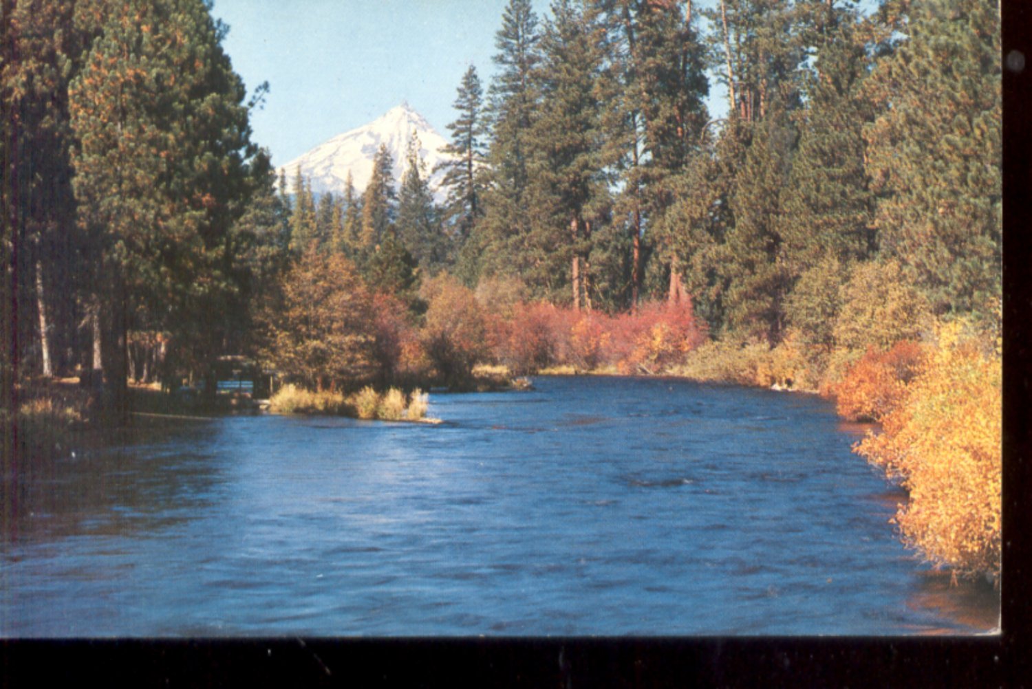 Metolius River and Mt. Jefferson, Central Ore. Postcard (#454)