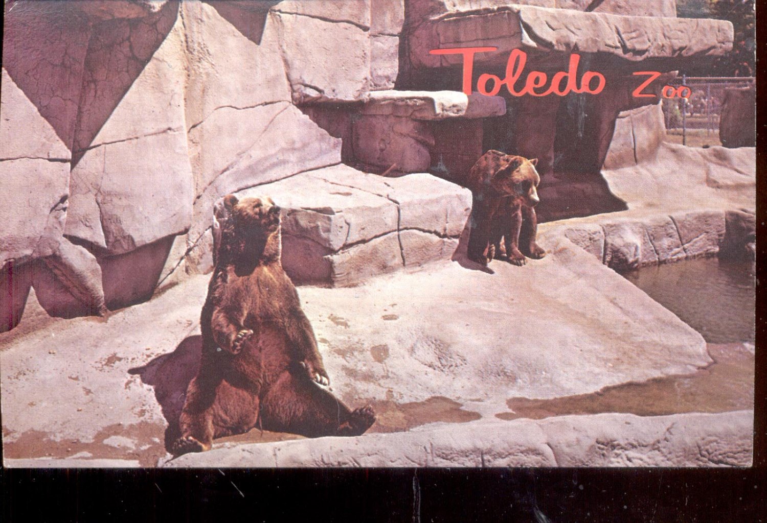 Toledo Zoo, Toledo, Ohio Postcard ( # 560) Toledo Zoo, Toledo, Ohio Postcard ( # 560)