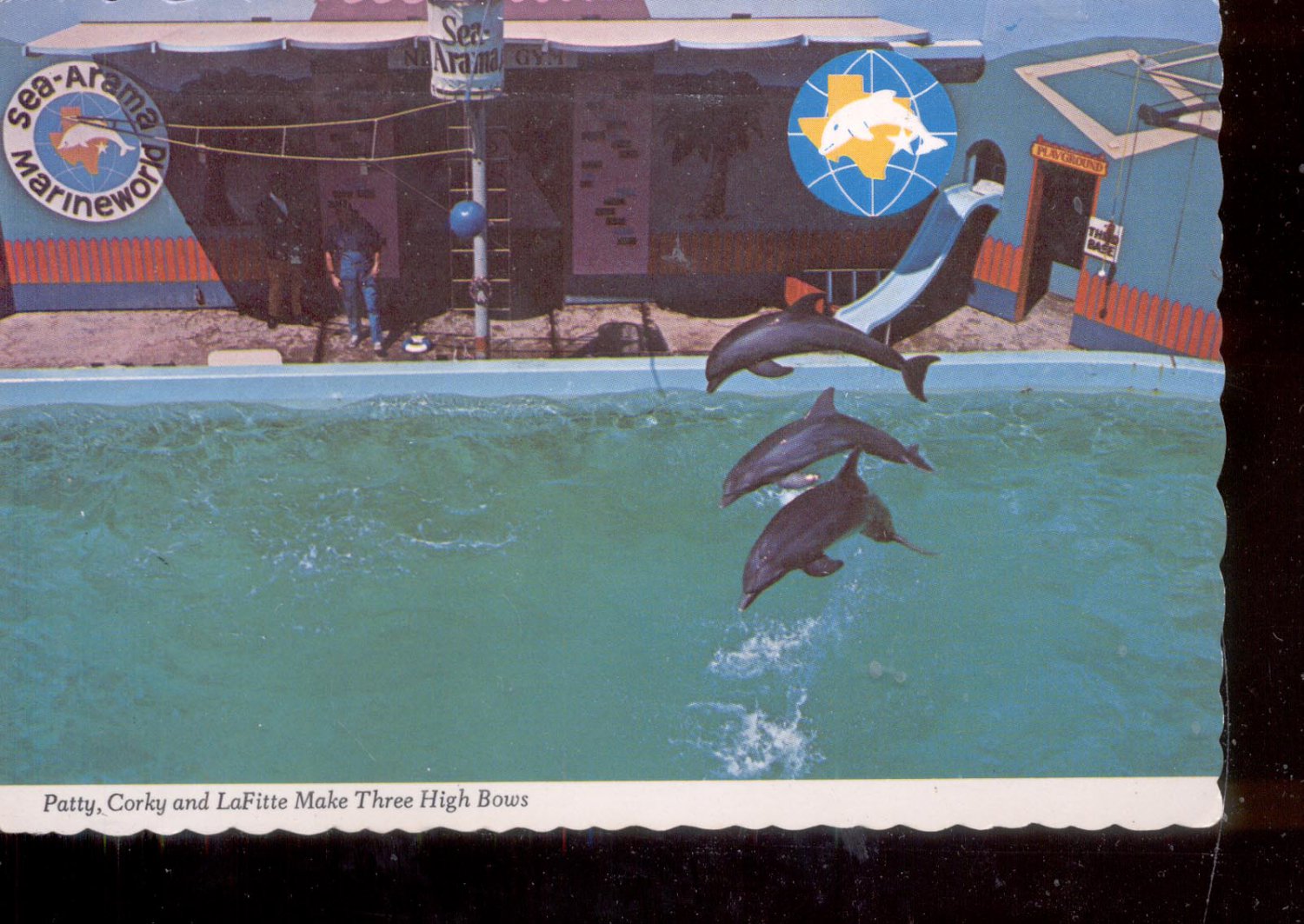 Patty, Corky and LaFitte Make Three High Bows - Texas Postcard (# 786)