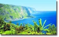 Hawaiian Hazelnut flavored coffee