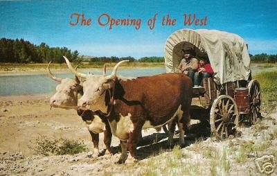 The Opening of the West - Ox Team & Covered Wagon