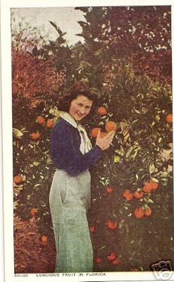 Florida Oranges