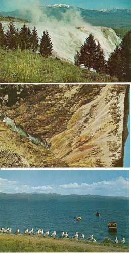 Lot of 3 Yellowstone National Park - 2
