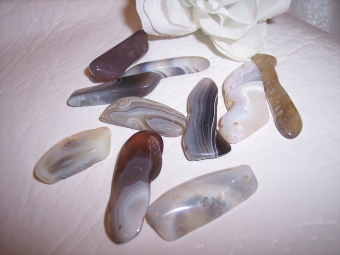BOTSWANA AGATE Freeform Pendants 10 pack