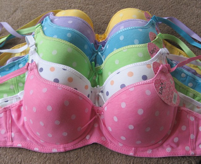 Six 6 Pcs Pushup Polka Dot Bras -different sizes