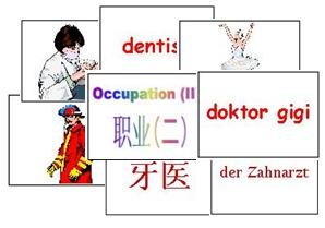 Occupation Flash Cards 2