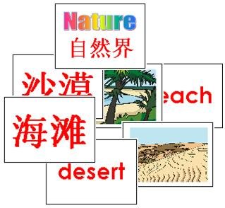 Nature Flash Cards 2-in-1 (Chinese & English)
