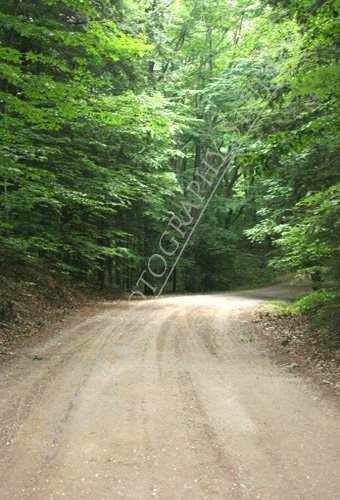 Oh Country Road