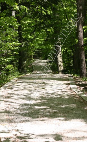 Pathways II